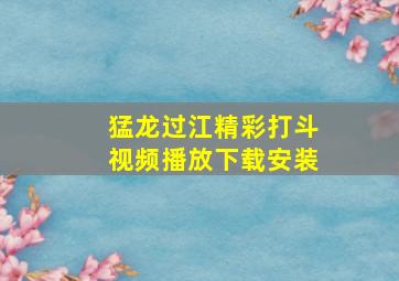 猛龙过江精彩打斗视频播放下载安装