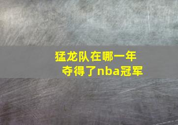 猛龙队在哪一年夺得了nba冠军