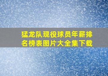 猛龙队现役球员年薪排名榜表图片大全集下载