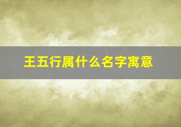 王五行属什么名字寓意