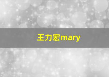 王力宏mary