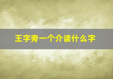 王字旁一个介读什么字