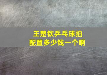 王楚钦乒乓球拍配置多少钱一个啊