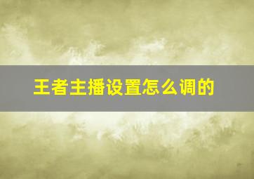 王者主播设置怎么调的