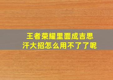 王者荣耀里面成吉思汗大招怎么用不了了呢