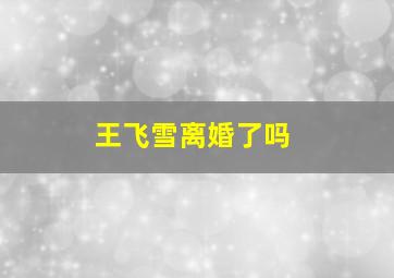 王飞雪离婚了吗