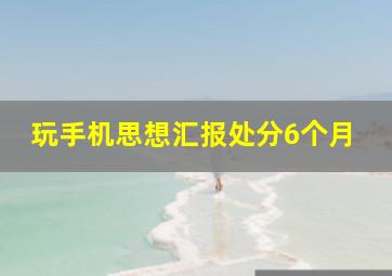 玩手机思想汇报处分6个月