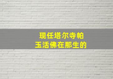 现任塔尔寺帕玉活佛在那生的