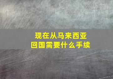 现在从马来西亚回国需要什么手续