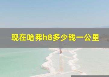 现在哈弗h8多少钱一公里