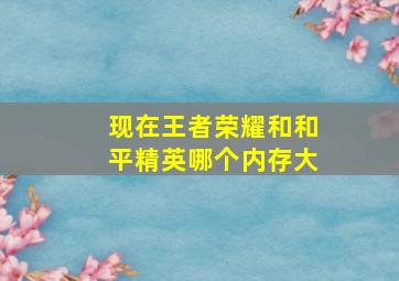 现在王者荣耀和和平精英哪个内存大