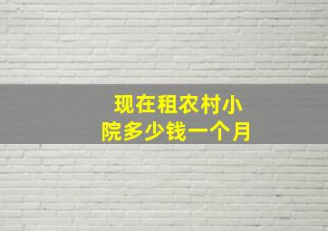 现在租农村小院多少钱一个月