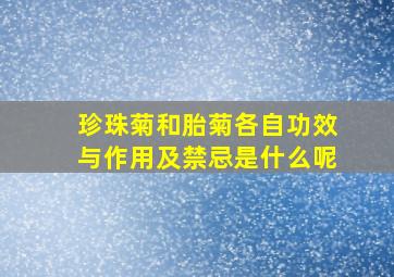 珍珠菊和胎菊各自功效与作用及禁忌是什么呢