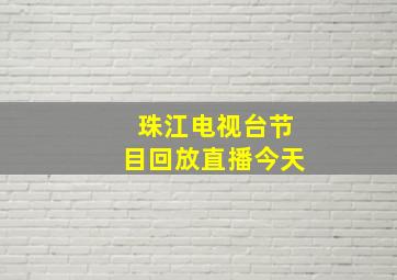 珠江电视台节目回放直播今天