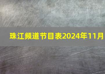 珠江频道节目表2024年11月