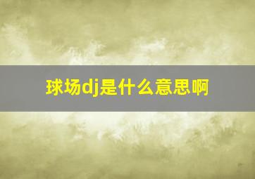 球场dj是什么意思啊