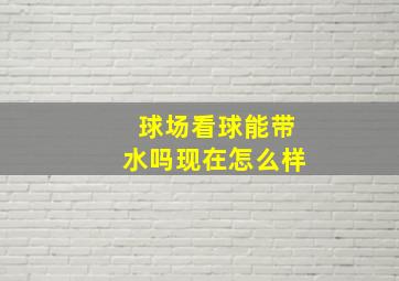 球场看球能带水吗现在怎么样