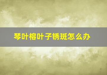 琴叶榕叶子锈斑怎么办