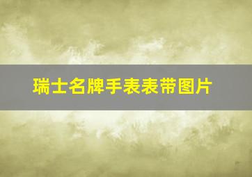 瑞士名牌手表表带图片