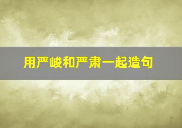 用严峻和严肃一起造句