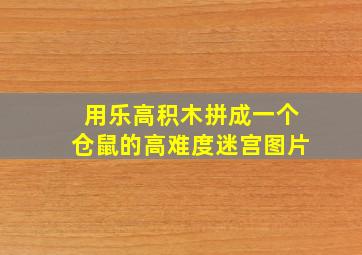 用乐高积木拼成一个仓鼠的高难度迷宫图片