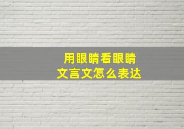 用眼睛看眼睛文言文怎么表达