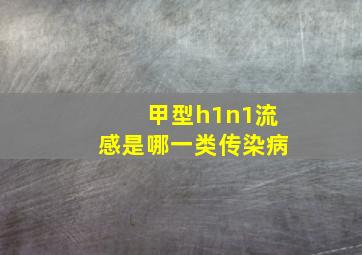 甲型h1n1流感是哪一类传染病