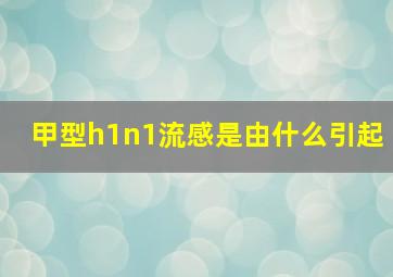 甲型h1n1流感是由什么引起