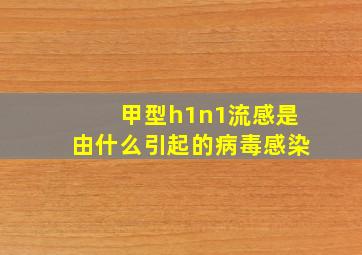 甲型h1n1流感是由什么引起的病毒感染