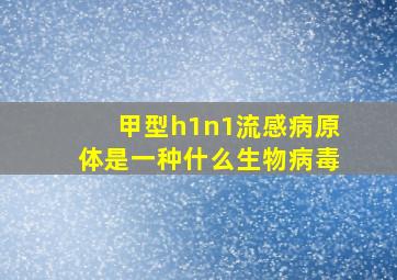 甲型h1n1流感病原体是一种什么生物病毒