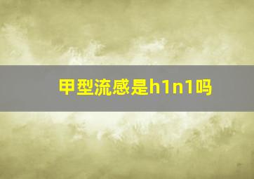 甲型流感是h1n1吗