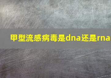 甲型流感病毒是dna还是rna