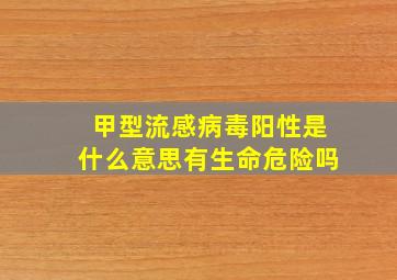 甲型流感病毒阳性是什么意思有生命危险吗