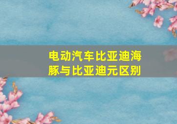 电动汽车比亚迪海豚与比亚迪元区别