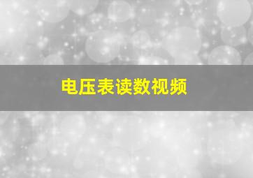 电压表读数视频