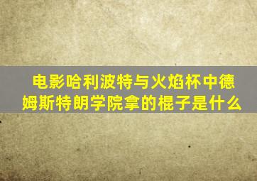 电影哈利波特与火焰杯中德姆斯特朗学院拿的棍子是什么