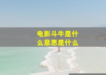 电影斗牛是什么意思是什么