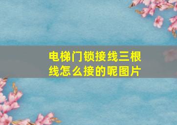 电梯门锁接线三根线怎么接的呢图片