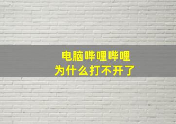 电脑哔哩哔哩为什么打不开了