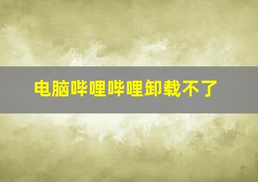 电脑哔哩哔哩卸载不了