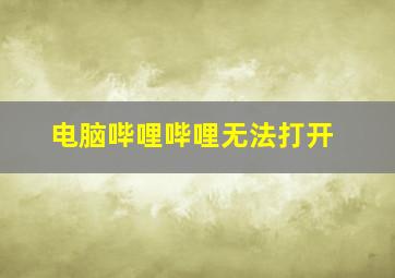 电脑哔哩哔哩无法打开