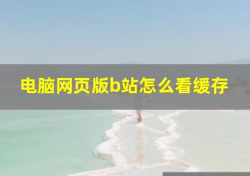 电脑网页版b站怎么看缓存