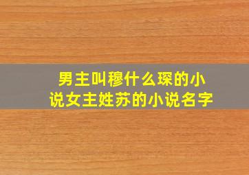 男主叫穆什么琛的小说女主姓苏的小说名字