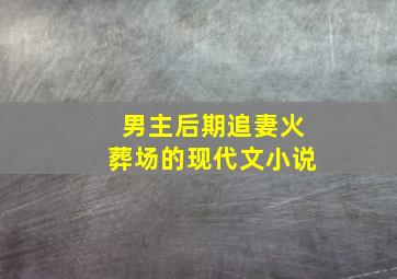 男主后期追妻火葬场的现代文小说