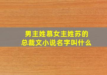 男主姓慕女主姓苏的总裁文小说名字叫什么