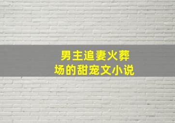 男主追妻火葬场的甜宠文小说