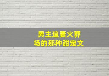 男主追妻火葬场的那种甜宠文