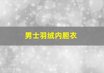 男士羽绒内胆衣