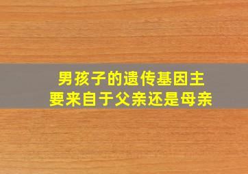 男孩子的遗传基因主要来自于父亲还是母亲