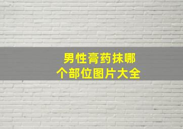 男性膏药抹哪个部位图片大全